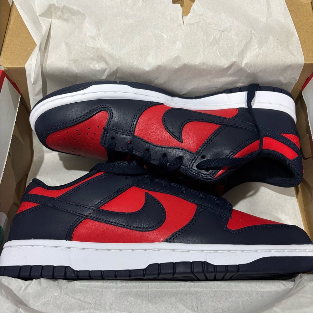 BNIB Nike Dunk Low Retro